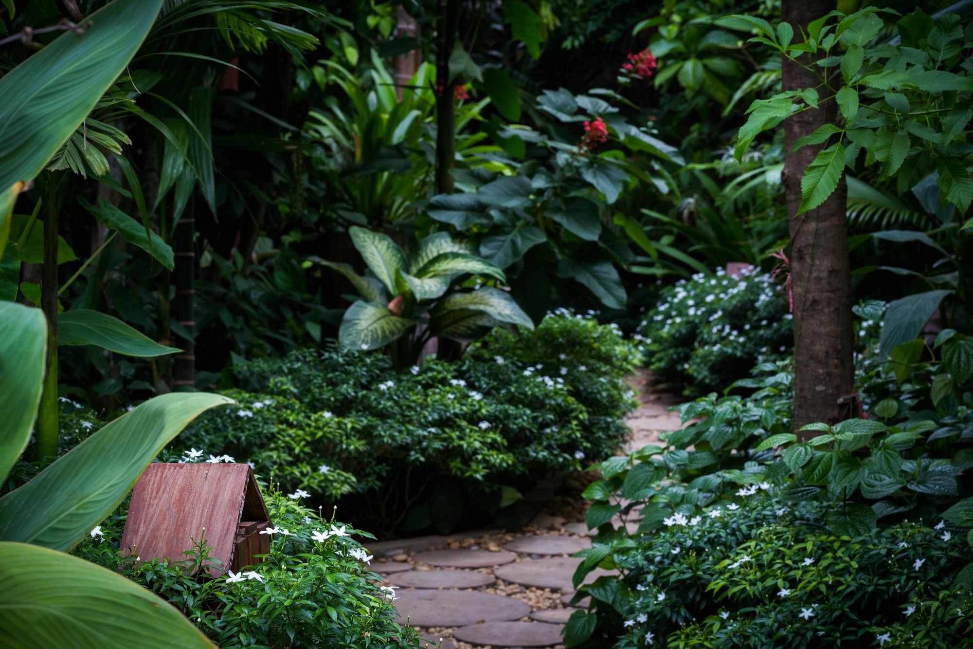 Malu Khmer Villa Siem Reap Esterno foto